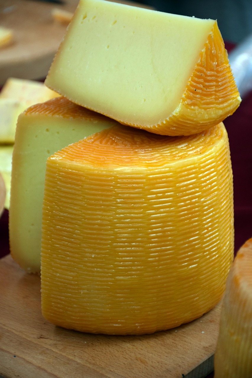 goat cheese, cow cheese, cheese, milk, dairy, making, product, production, natural, cheesemaker, processing, industry, croatia, brown cow, brown industry, cheese, cheese, cheese, cheese, cheese